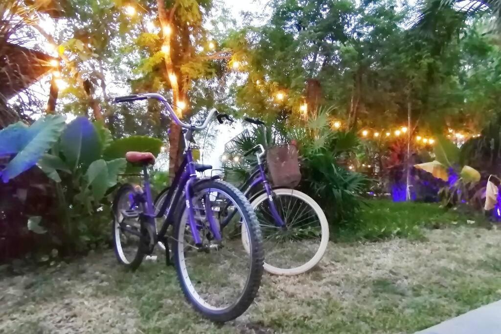 Dk31 Wifi 600Mb, Cheap Scooters By Moikkarentals Tulum Kültér fotó